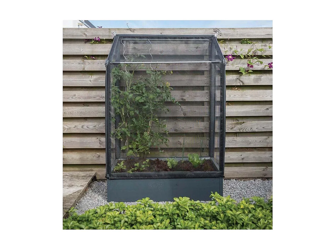 Potager mural premium à adosser avec couverture de protection Hauteur 180 cm