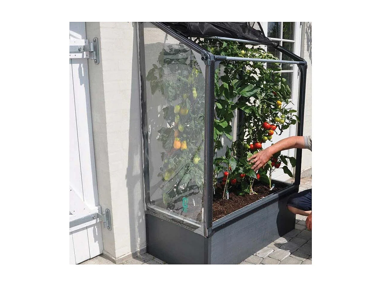 Potager mural premium à adosser avec couverture de protection Hauteur 180 cm