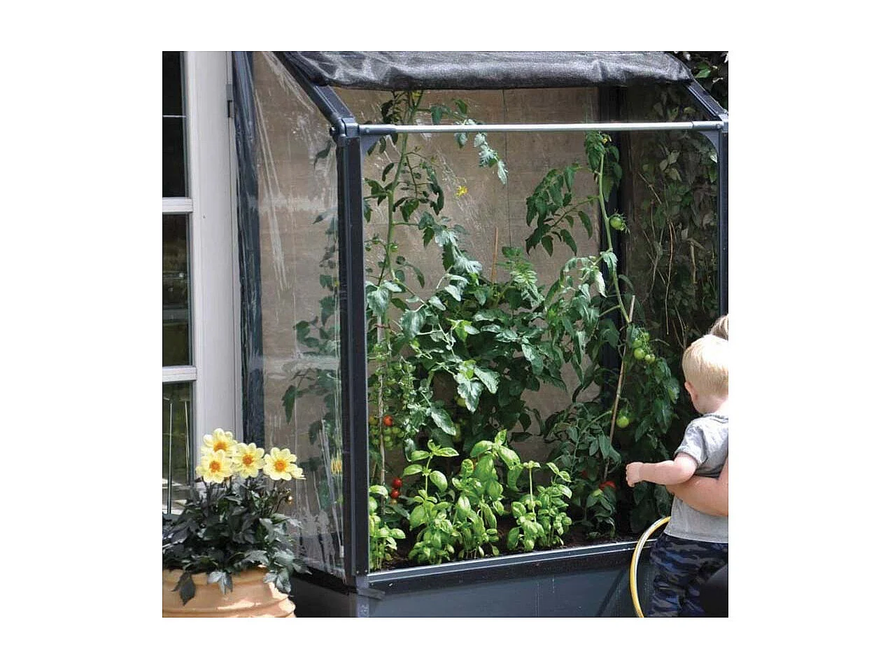 Potager mural premium à adosser avec couverture de protection Hauteur 180 cm