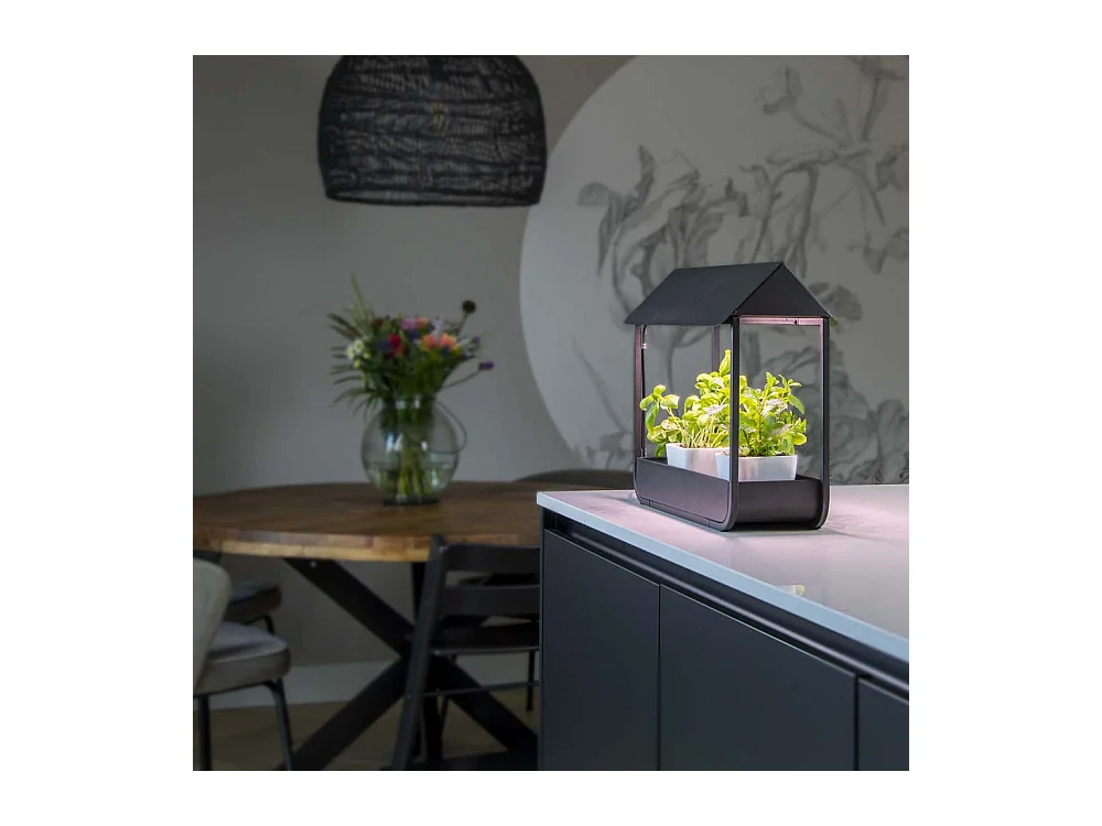 Serre avec lampe de croissance design