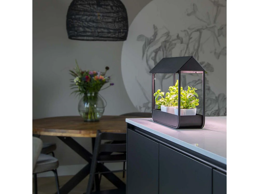 Serre avec lampe de croissance design