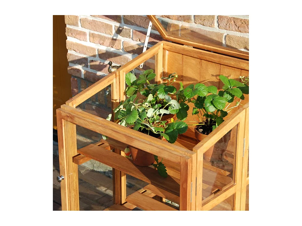 Mini serre de jardin en bois dur 118,5 cm