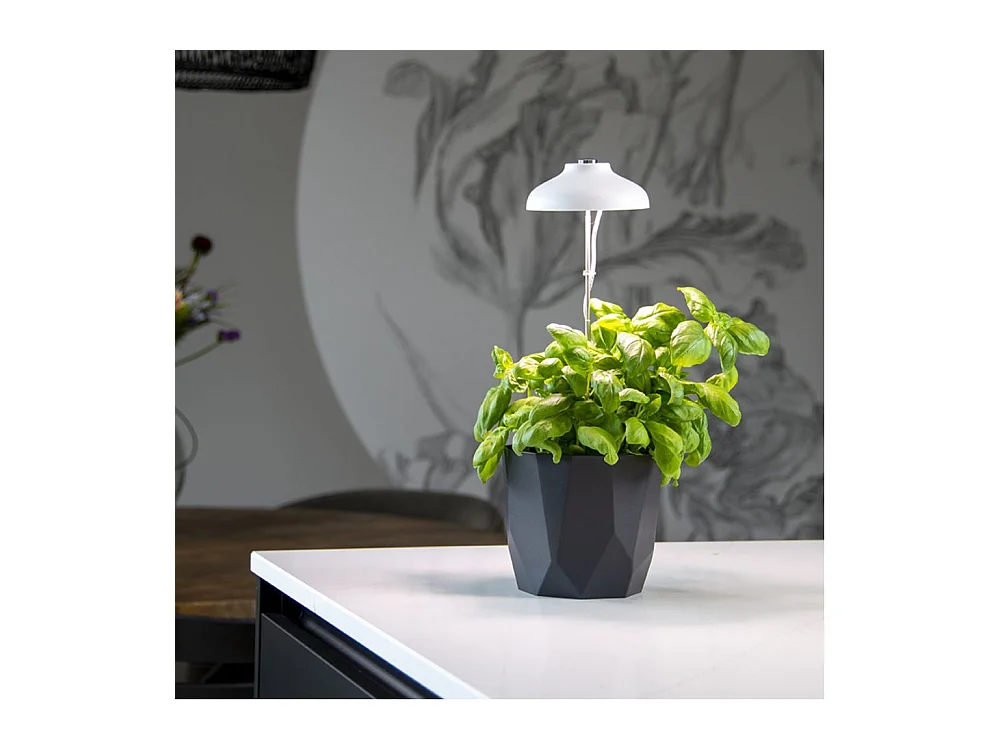 Lampe de croissance pour plantes ampoule led