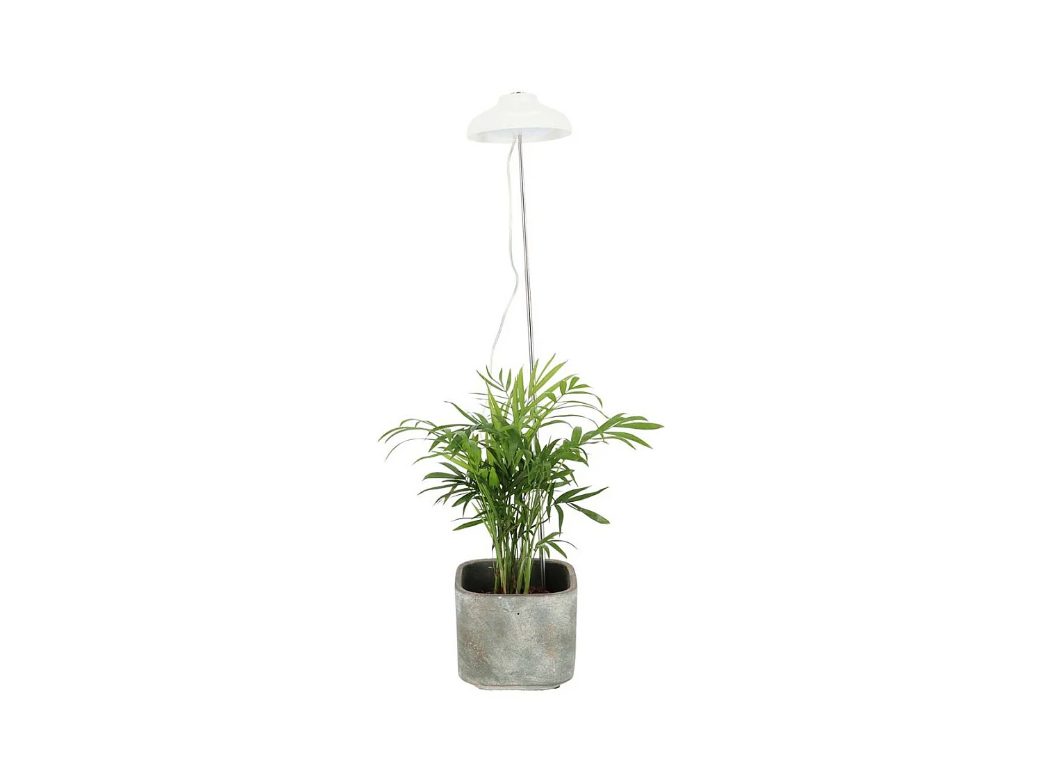 Lampe de croissance pour plantes ampoule led