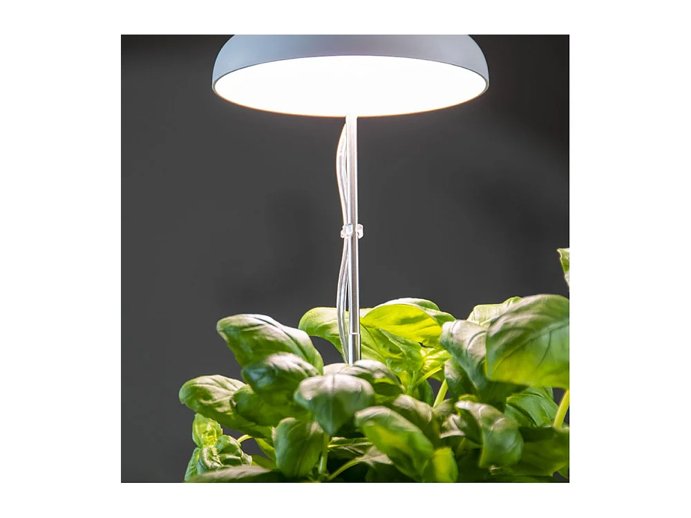 Lampe de croissance pour plantes ampoule led