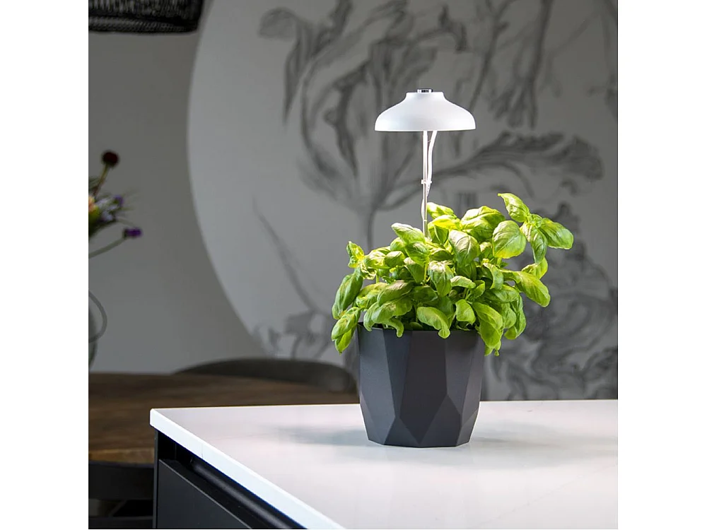 Pflanzenwachstumslampe Led-Glühbirne