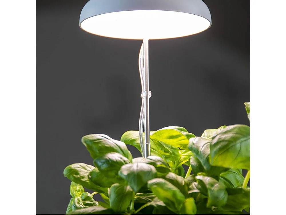 Pflanzenwachstumslampe Led-Glühbirne