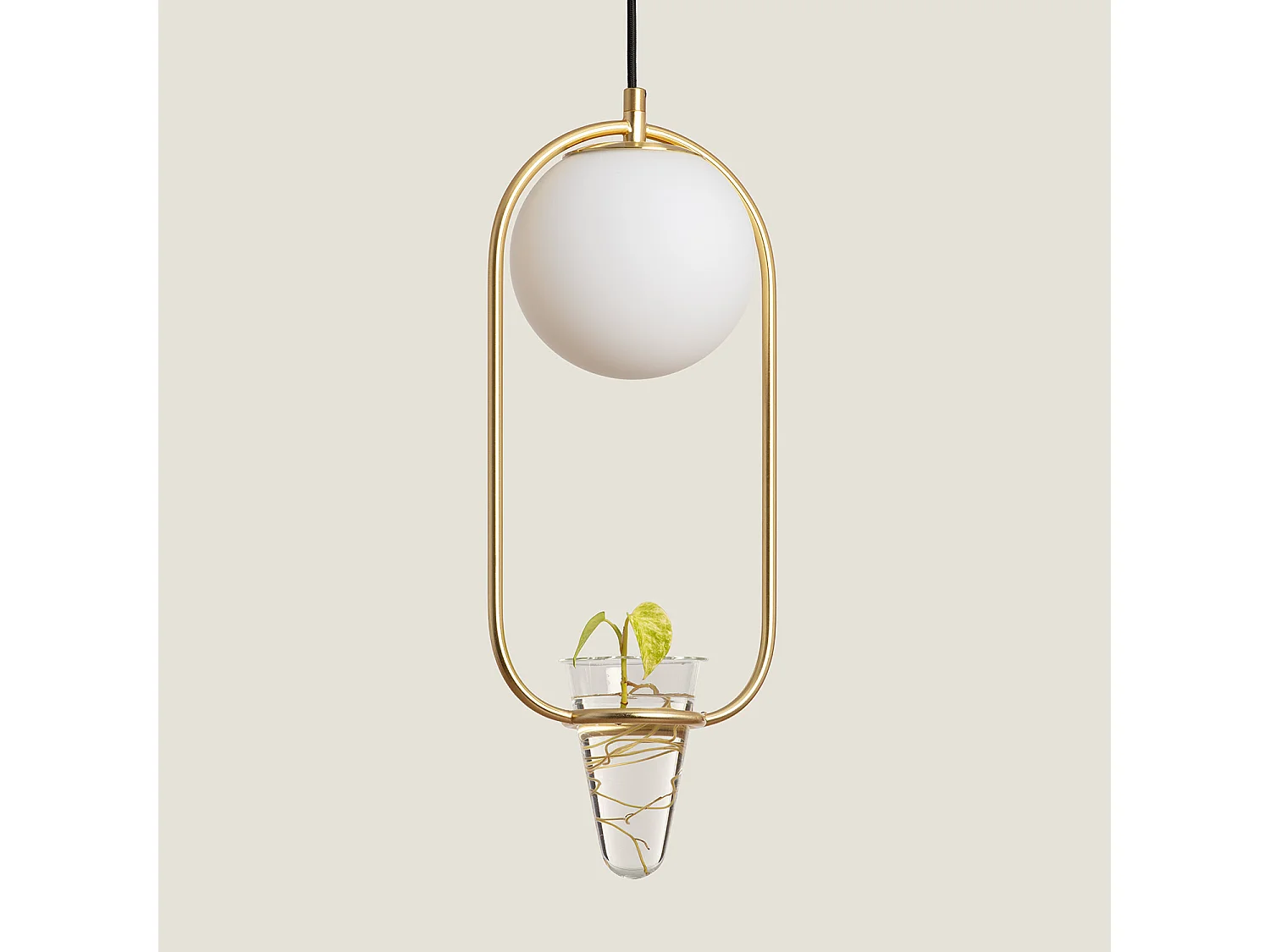 Lampada a Sospensione Metallo e Vetro Moonlight Puncak Oro