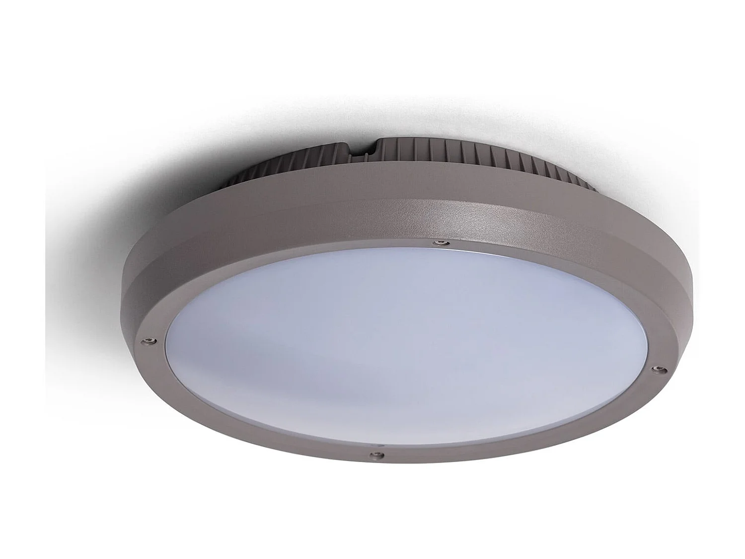 Plafoniera Circolare per Esterno Ø300 mm IP65 Curio Grigio Grigio