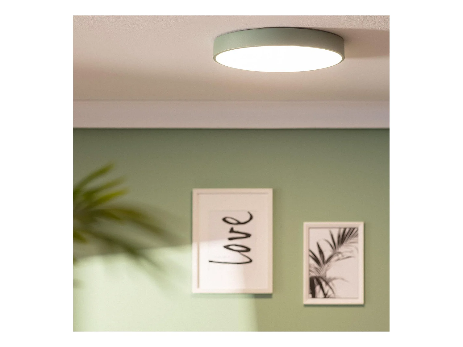 Plafonnier LED Rond Métal 24W CCT Sélectionnable Iris Ø400 mm Vert Céladon