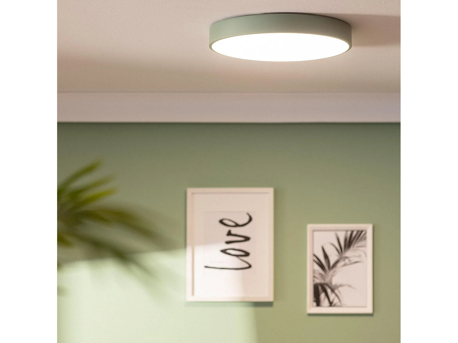 Plafonnier LED Rond Métal 24W CCT Sélectionnable Iris Ø400 mm Vert Céladon