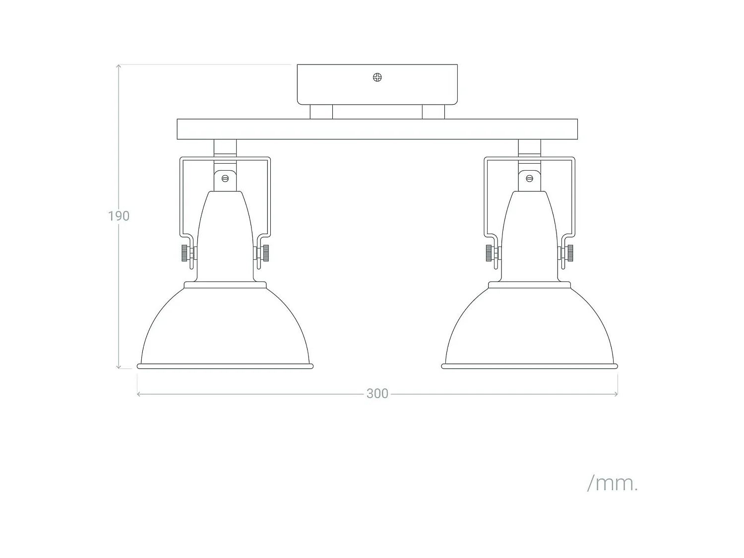 Lámpara de Techo Orientable Aluminio 2 Focos Negro Emer Negro