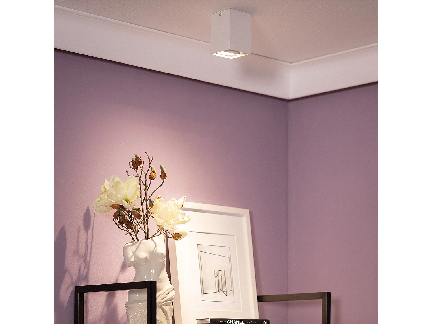 Applique da Soffitto Alluminio Jaspe Bianco Bianco