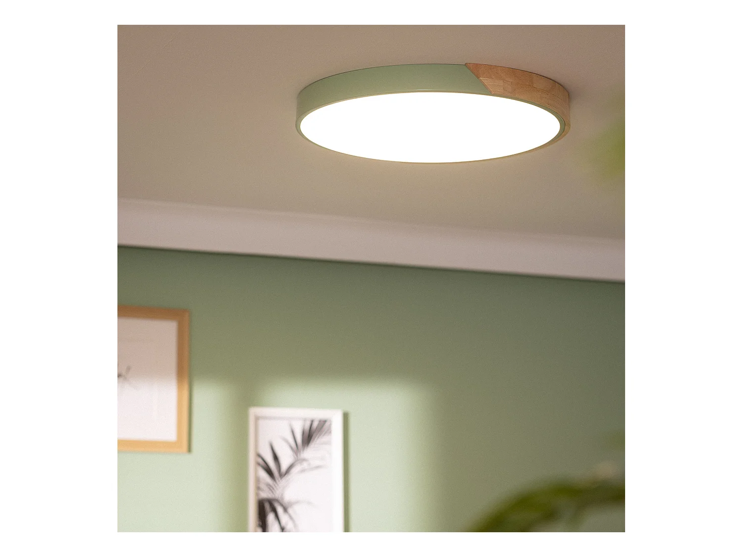 Plafoniera LED 36W Circolare Legno Ø500 mm CCT Selezionabile Semi-Dari Verde
