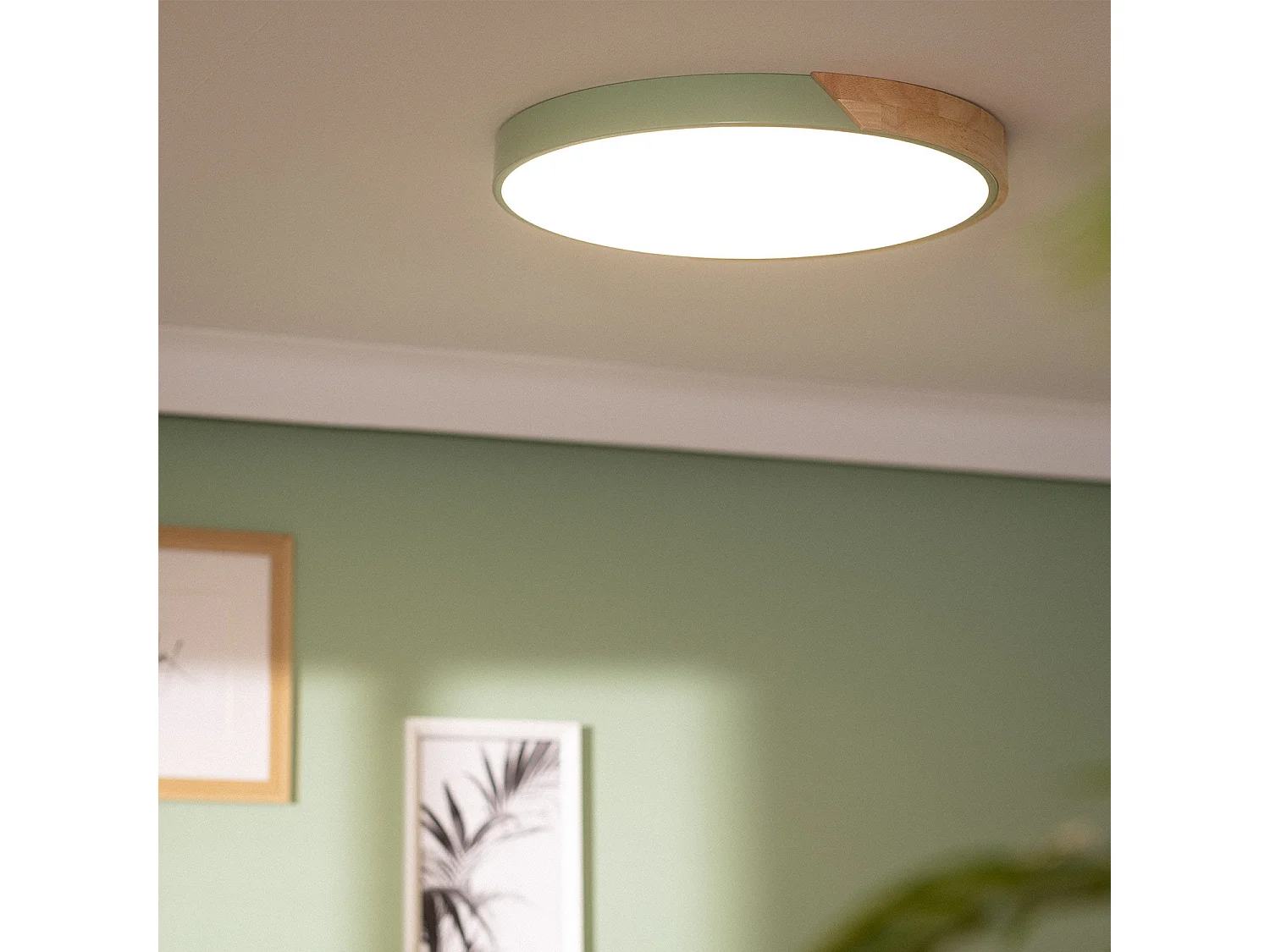 Plafonnier LED Rond Bois 36W CCT Sélectionnable Semi-Dari Ø500 mm Vert