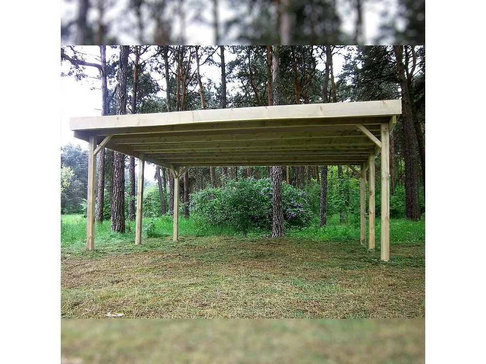 Carport double en bois Basic 5,1 x 5 m