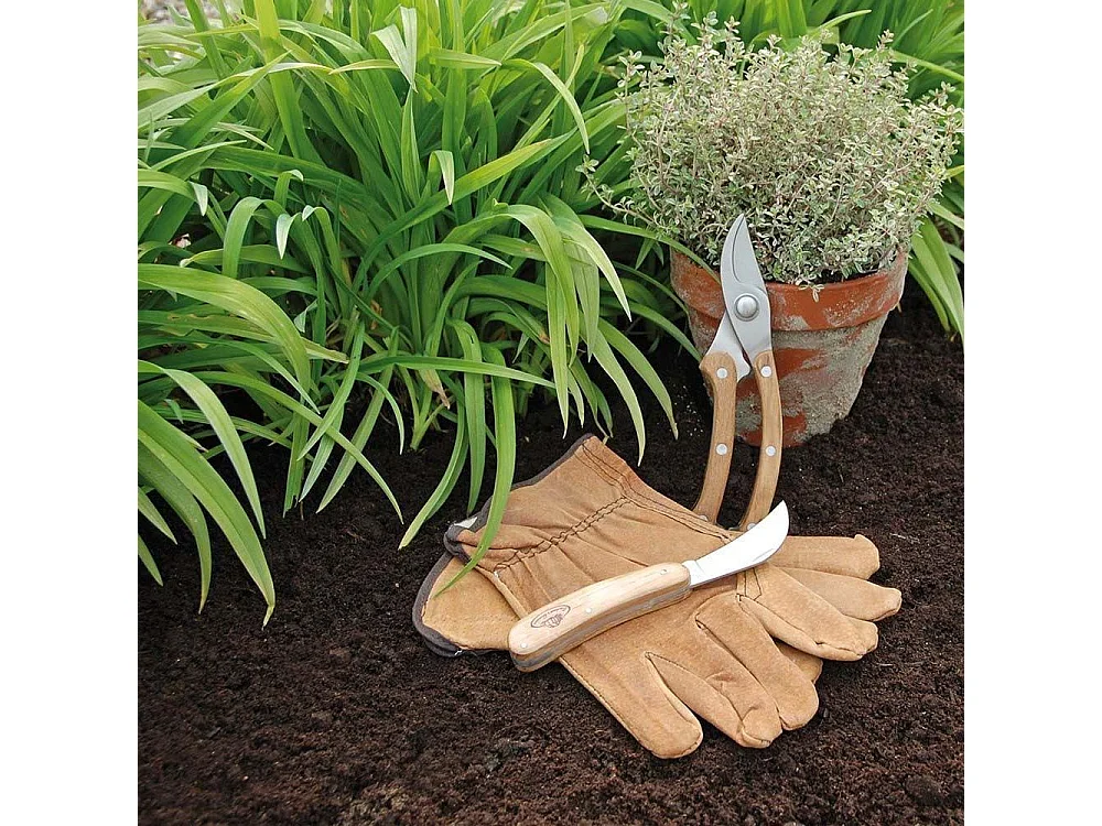 Set d'outils pour tailler avec gant en cuir
