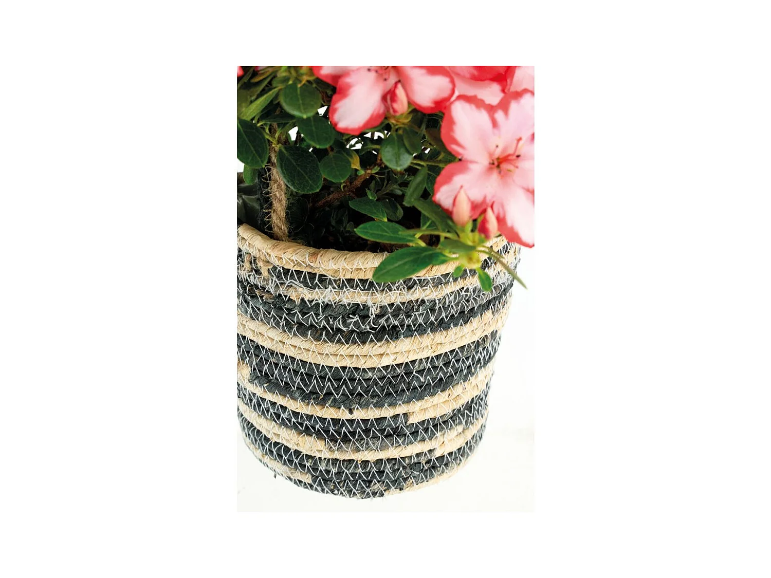 Cache-pot suspendu en jute naturelle – Idéal pour plantes d'intérieur