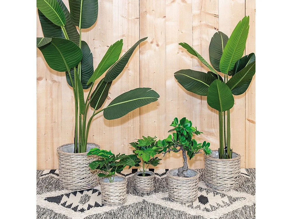 Cache pot rond en osier gris (Lot de 5)