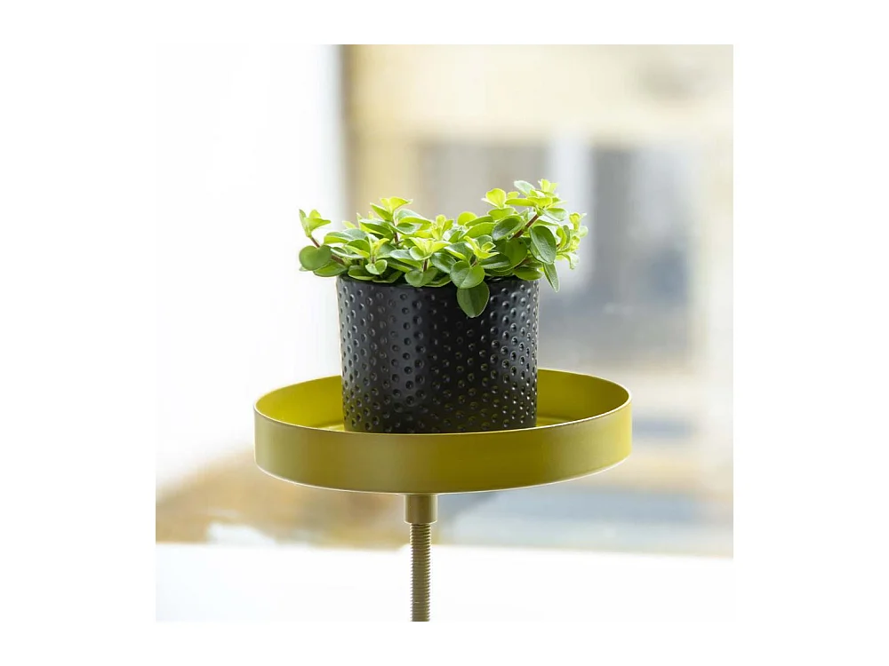 Support à plantes rond à fixer hauteur réglable doré 20.9 x 14 cm