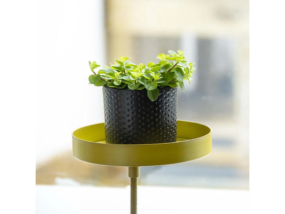 Support à plantes rond à fixer hauteur réglable doré 20.9 x 14 cm