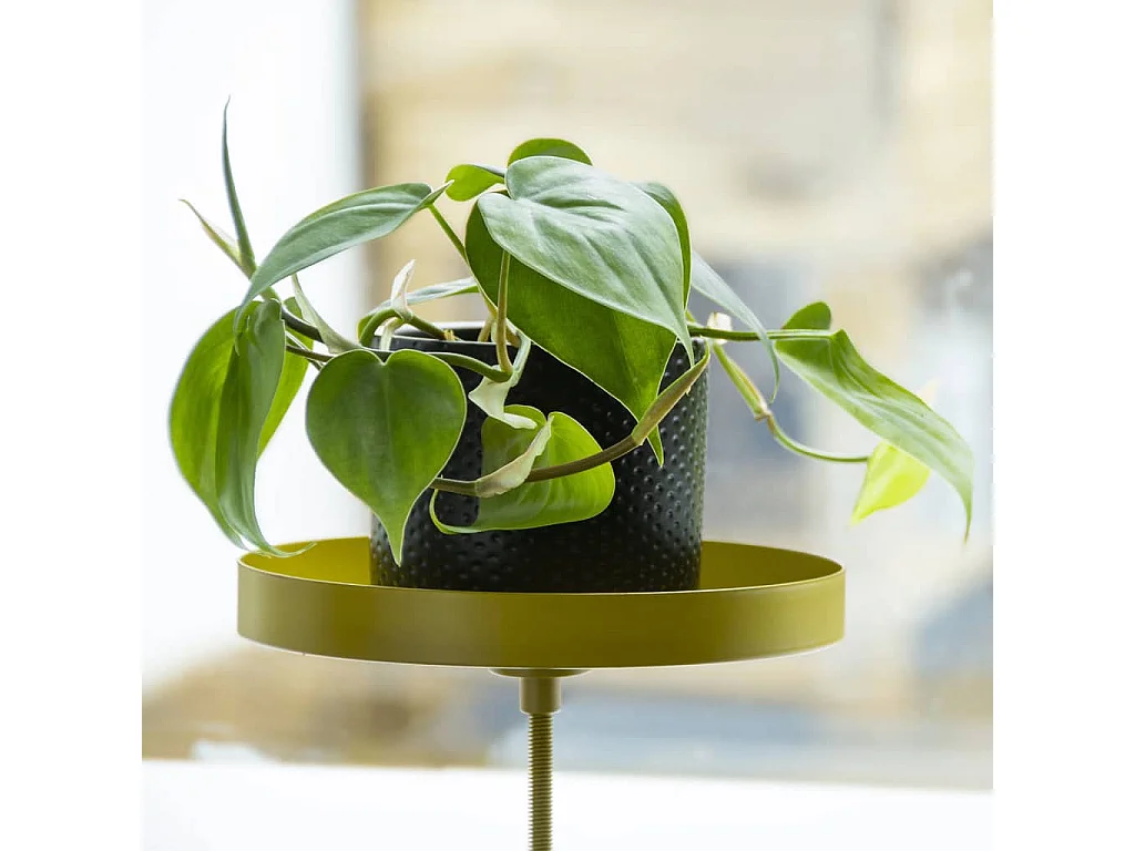 Support à plantes rond à fixer hauteur réglable doré 24.6 x 18 cm