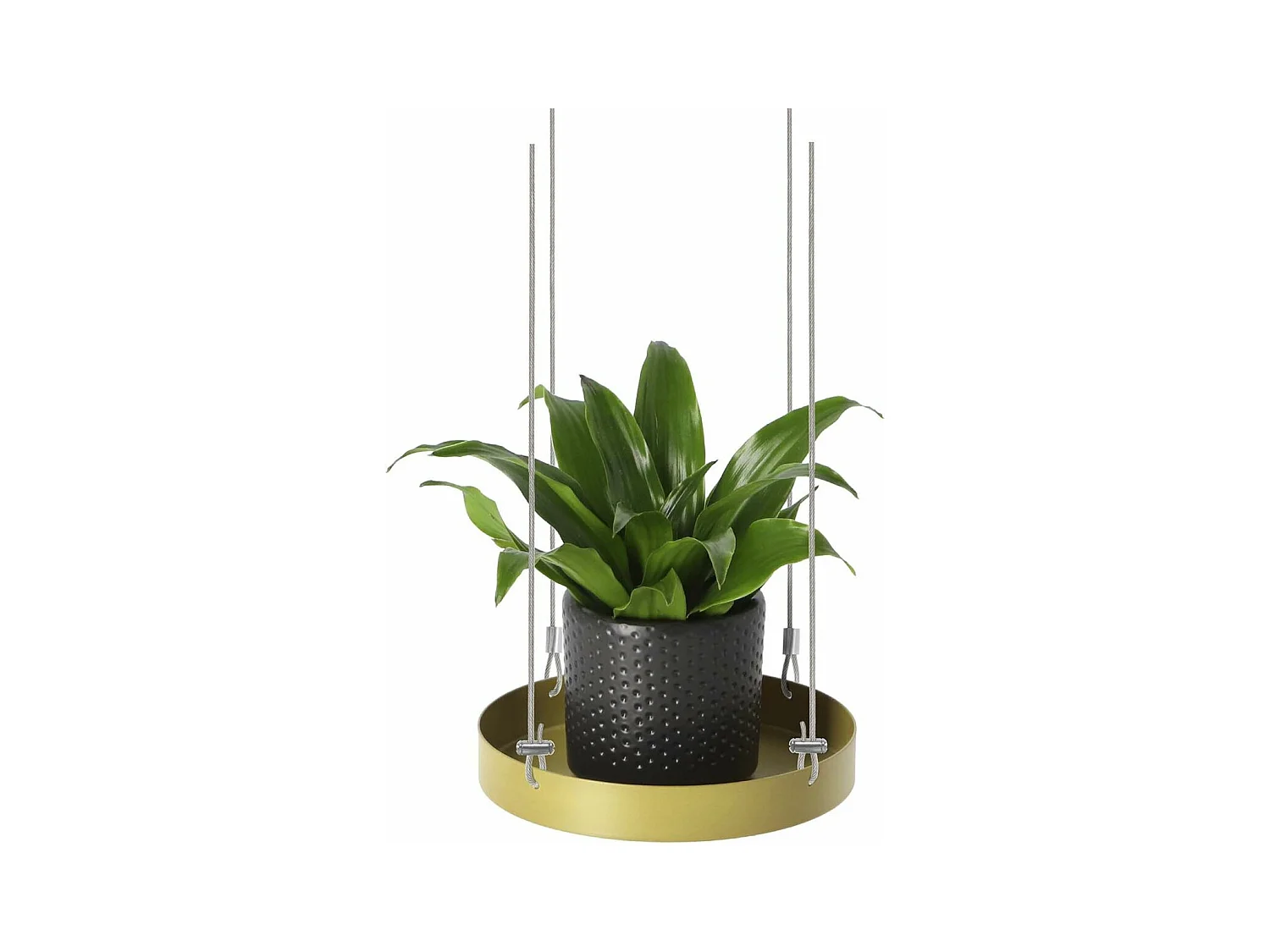 Support à plantes rond à suspendre doré Diamètre de 14 cm