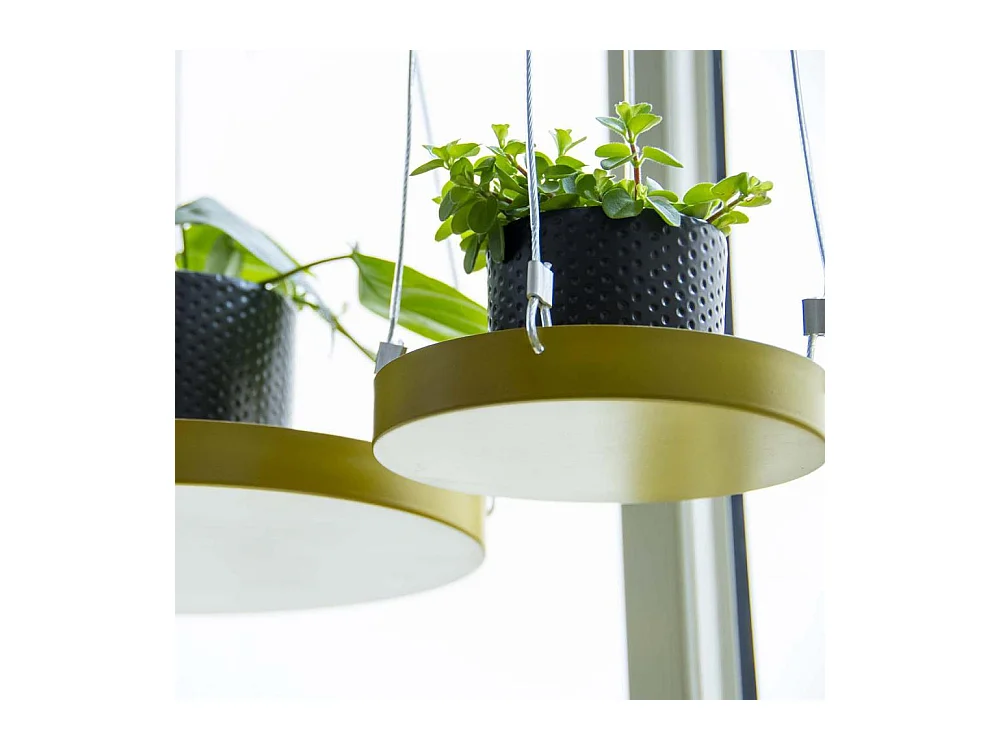 Support à plantes rond à suspendre doré Diamètre de 14 cm