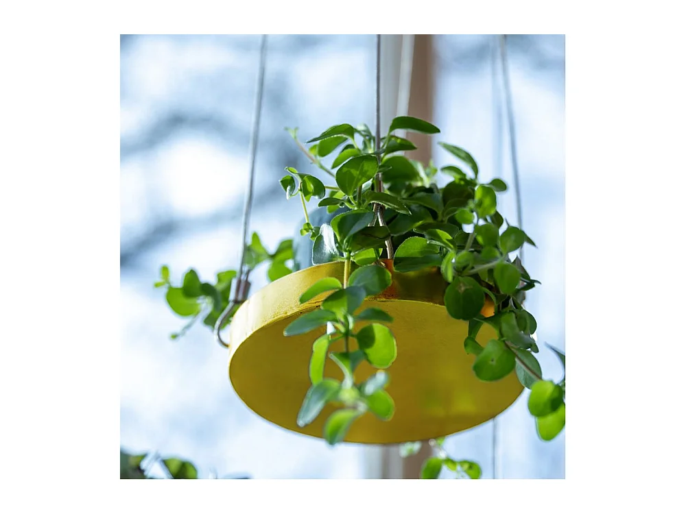 Support à plantes rond à suspendre doré Diamètre de 14 cm