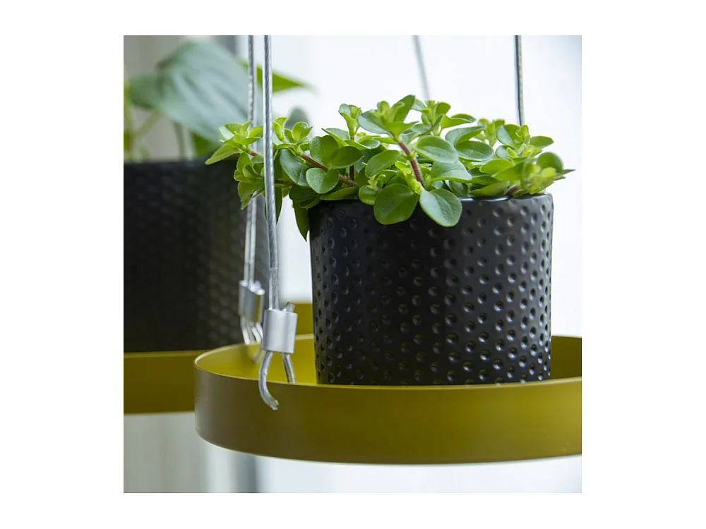 Support à plantes rond à suspendre doré Diamètre de 14 cm