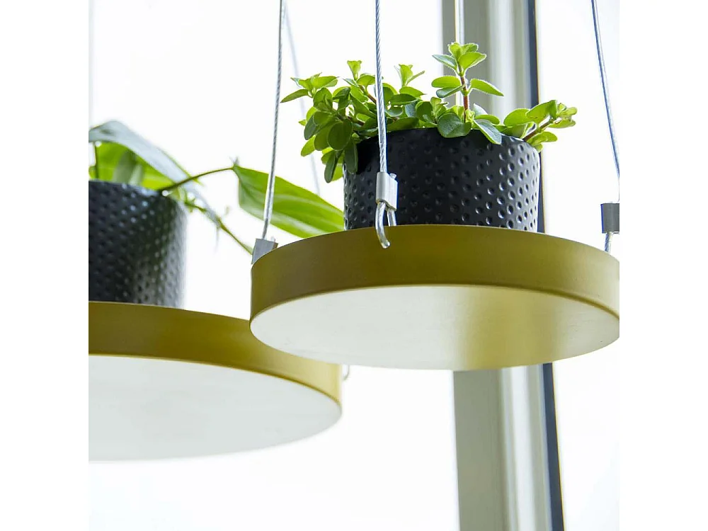 Support à plantes rond à suspendre doré Diamètre de 14 cm