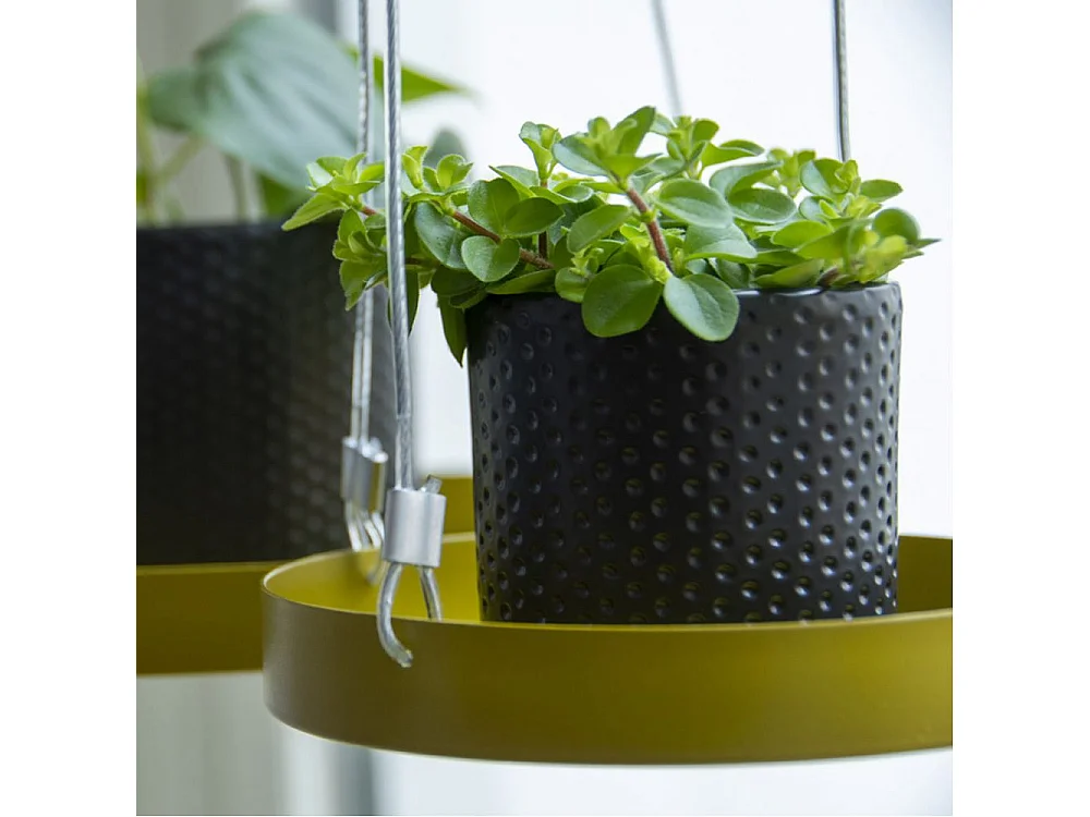 Support à plantes rond à suspendre doré Diamètre de 14 cm