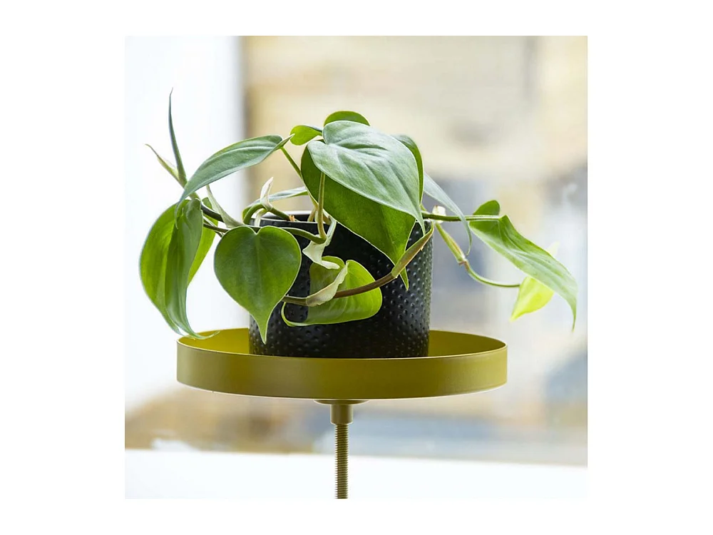 Support à plantes rond à fixer hauteur réglable doré 24.6 x 24 cm