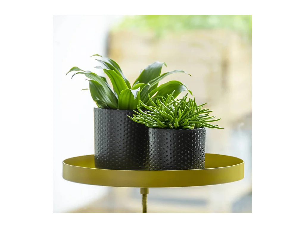 Support à plantes rond à fixer hauteur réglable doré 24.6 x 24 cm