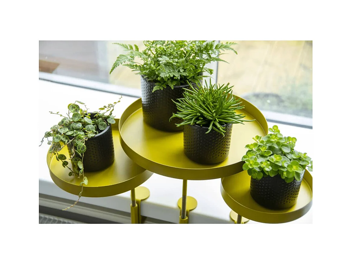 Support à plantes rond à fixer hauteur réglable doré 24.6 x 24 cm