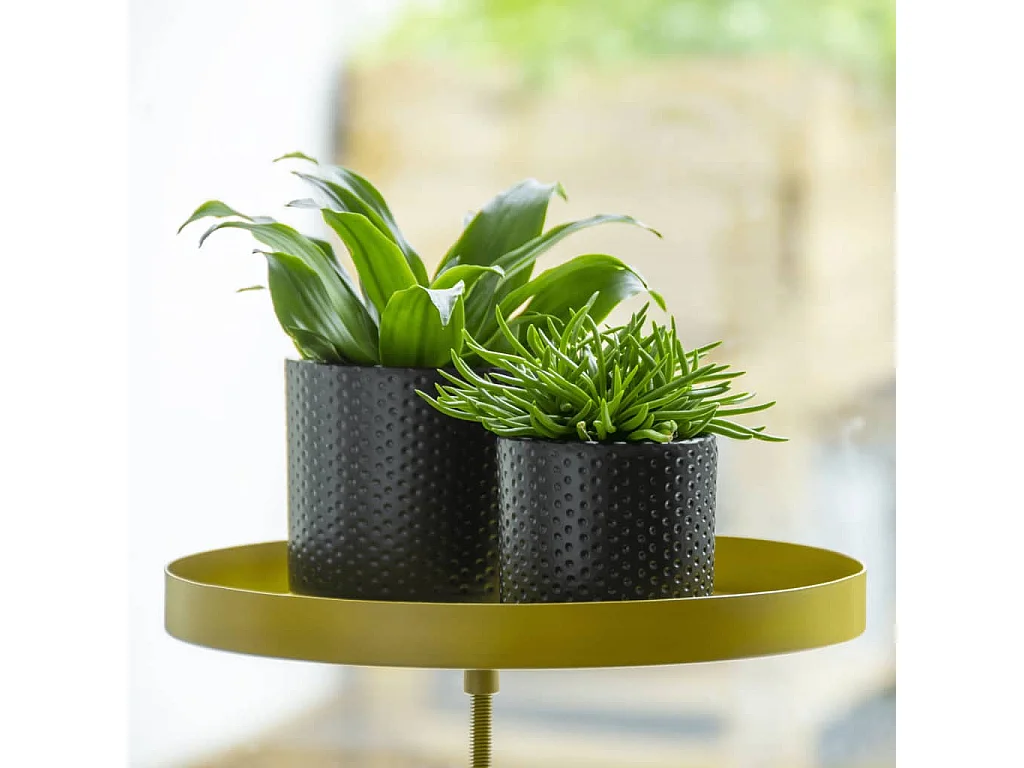 Support à plantes rond à fixer hauteur réglable doré 24.6 x 24 cm