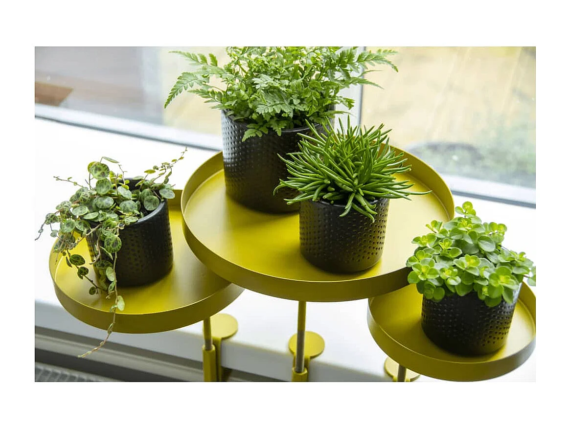 Support à plantes rond à fixer hauteur réglable doré 24.6 x 24 cm