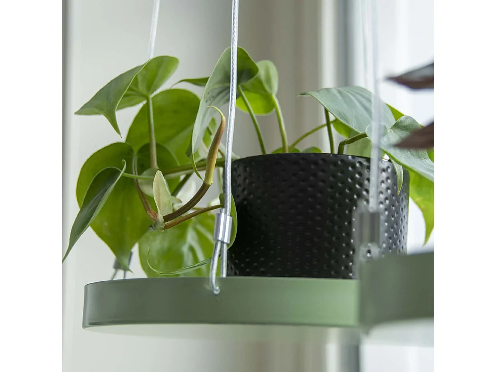 Support à plantes rond à suspendre vert Diamètre de 24 cm