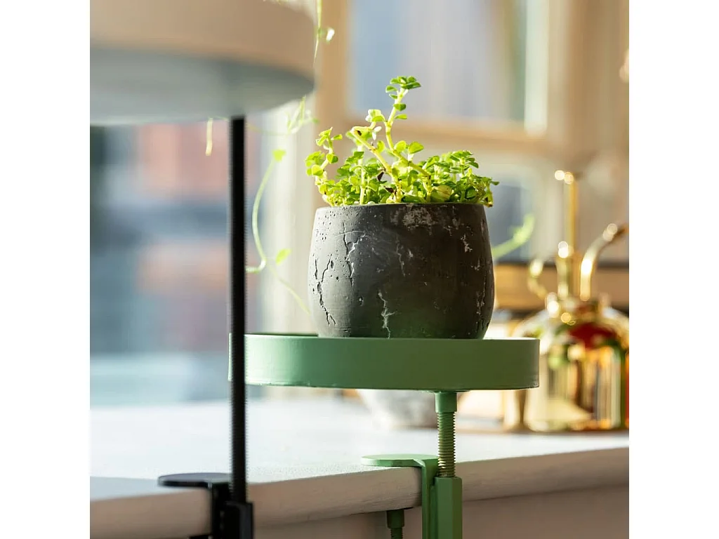 Support à plantes rond  à fixer hauteur réglable vert 20.9 x 14 cm