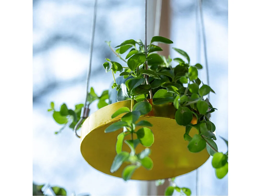 Support à plantes rond à suspendre doré Diamètre de 24 cm