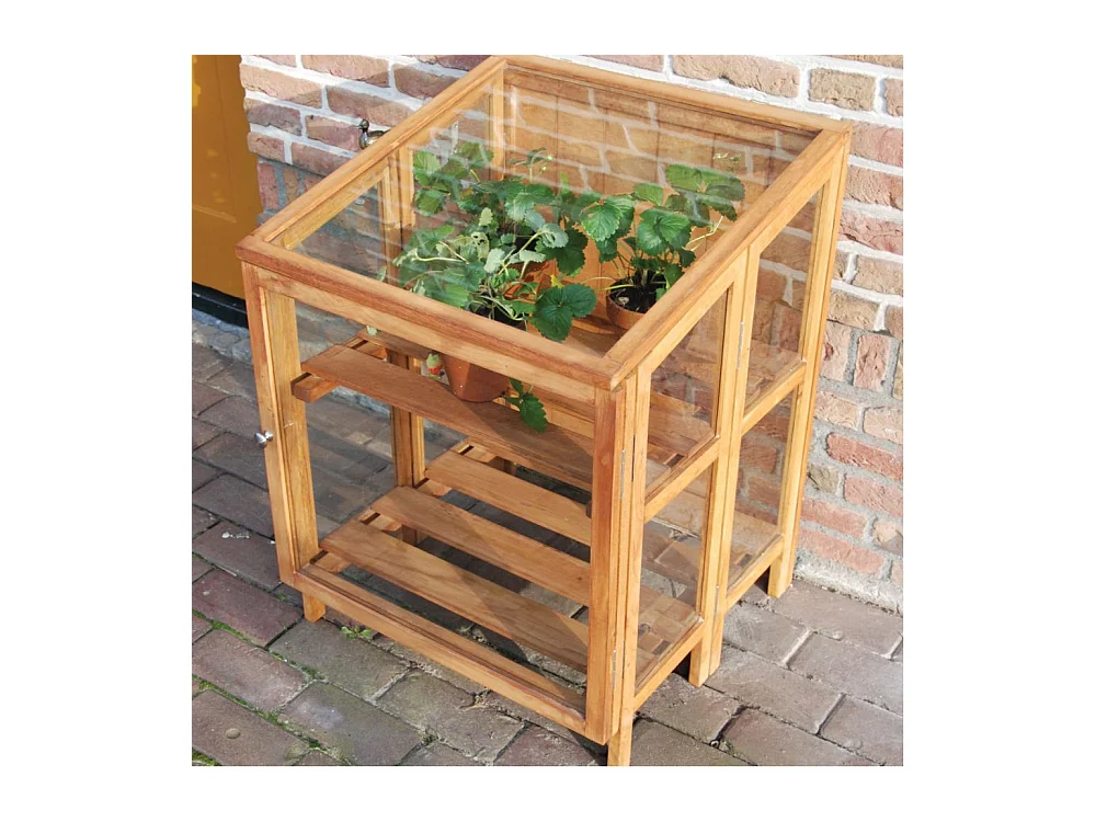 Mini-Gartengewächshaus aus Hartholz 60 cm