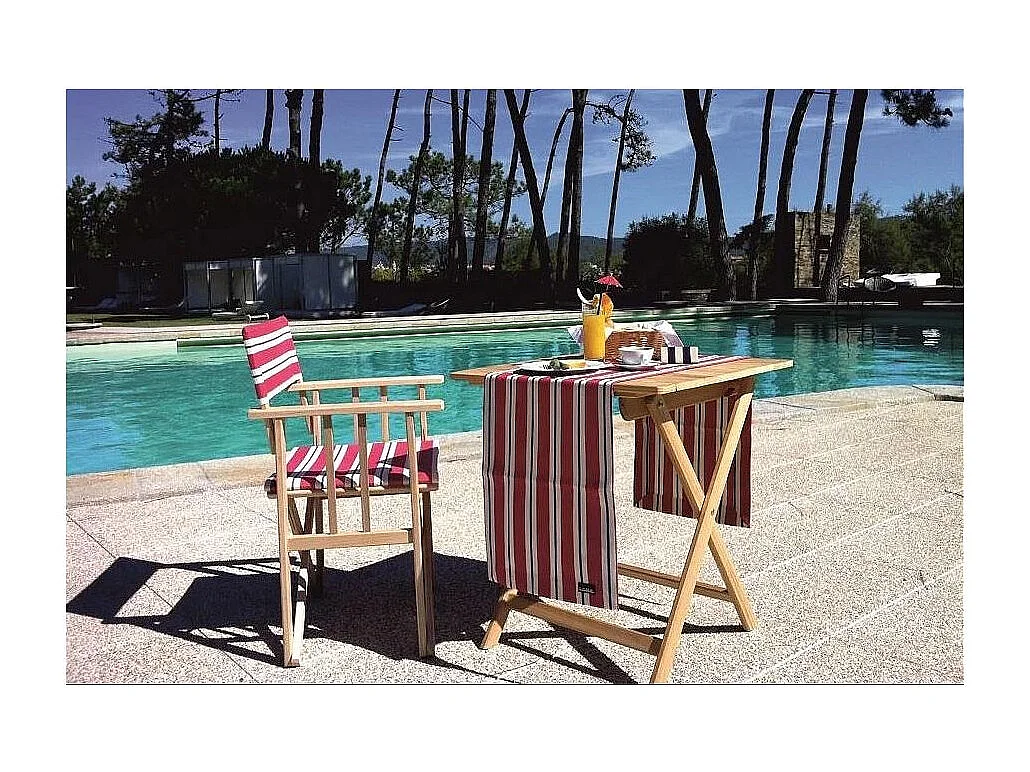 Fauteuil metteur en scène en eucalyptus (vert) Vert