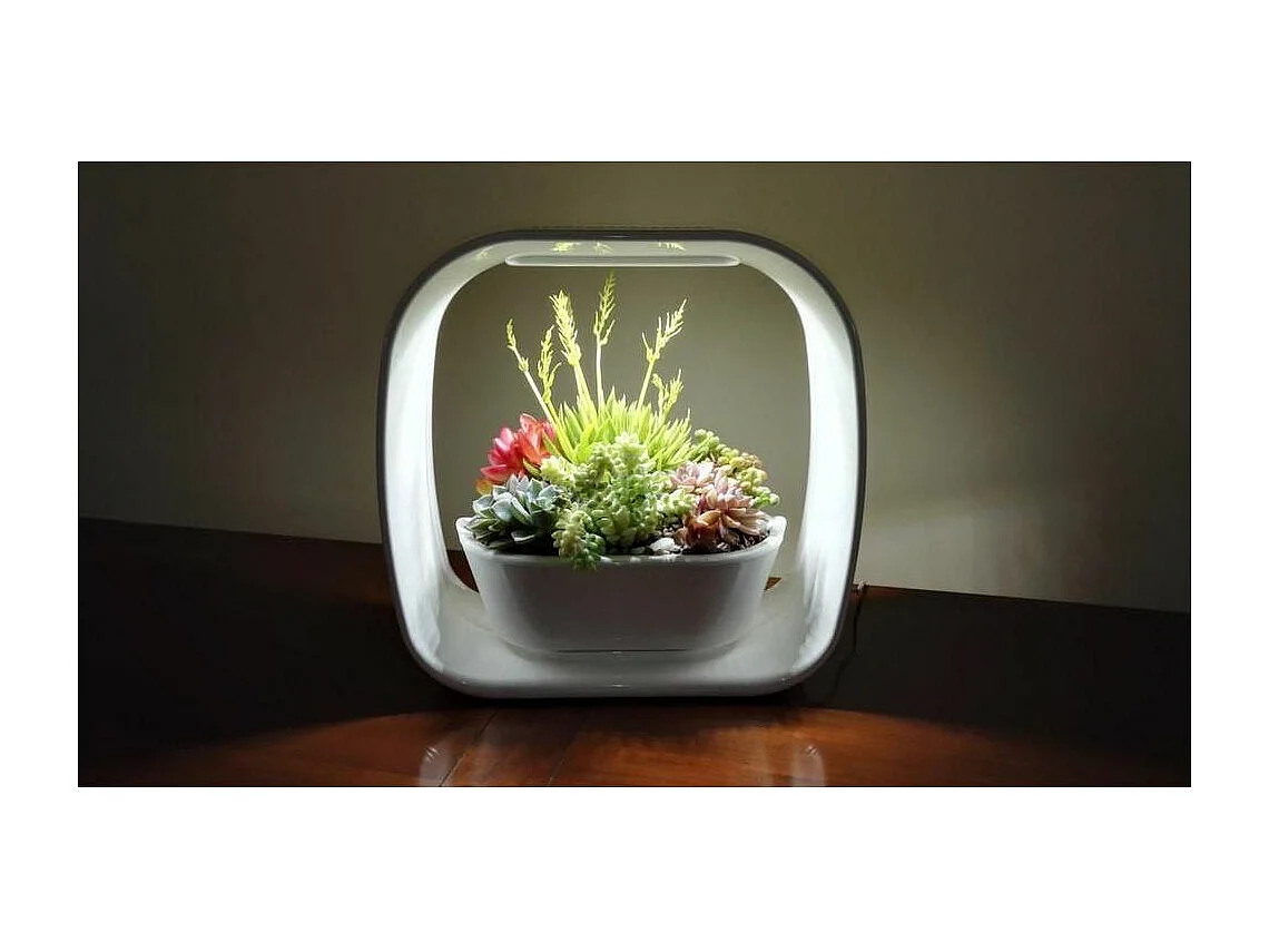 Lampe LED ludique avec jardinière intégrée