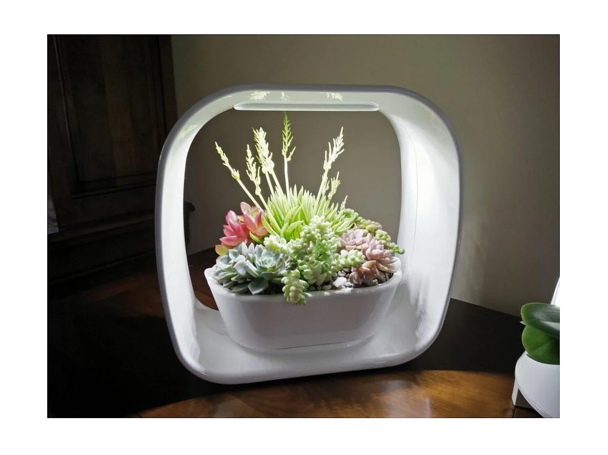 Lampe LED ludique avec jardinière intégrée