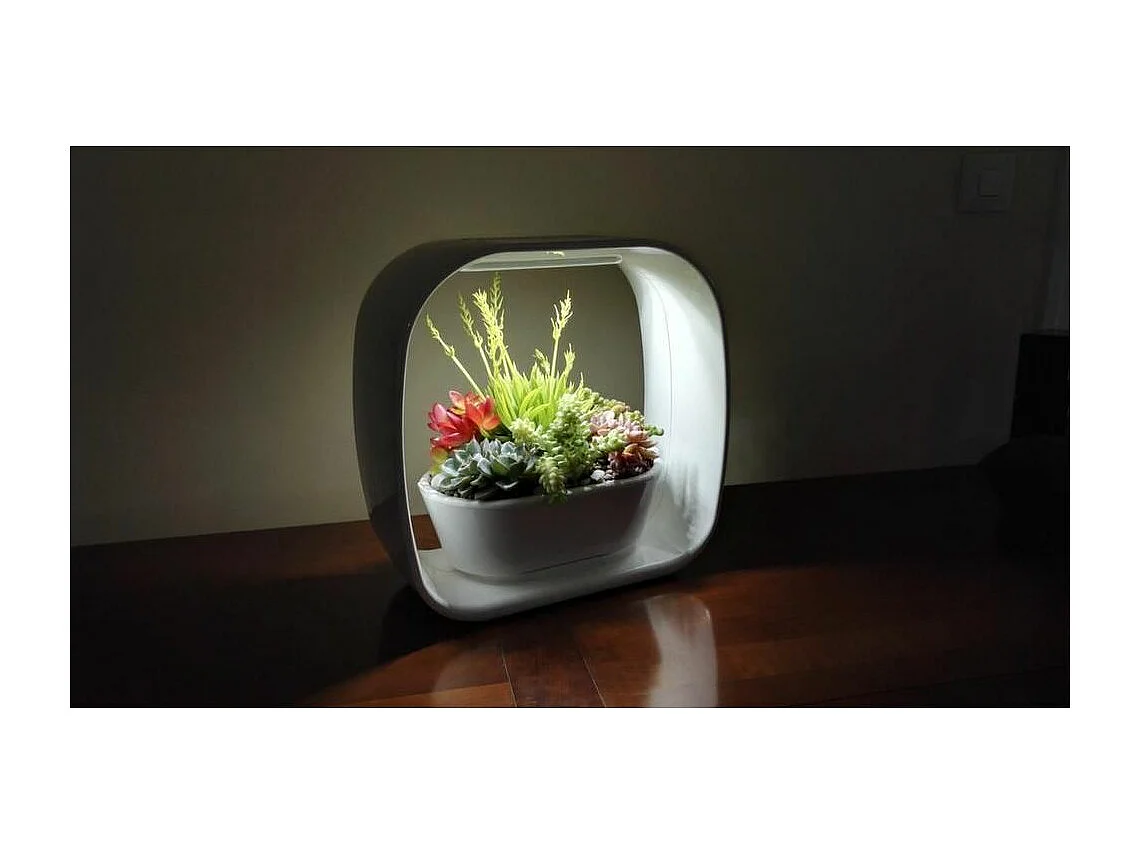 Lampe LED ludique avec jardinière intégrée