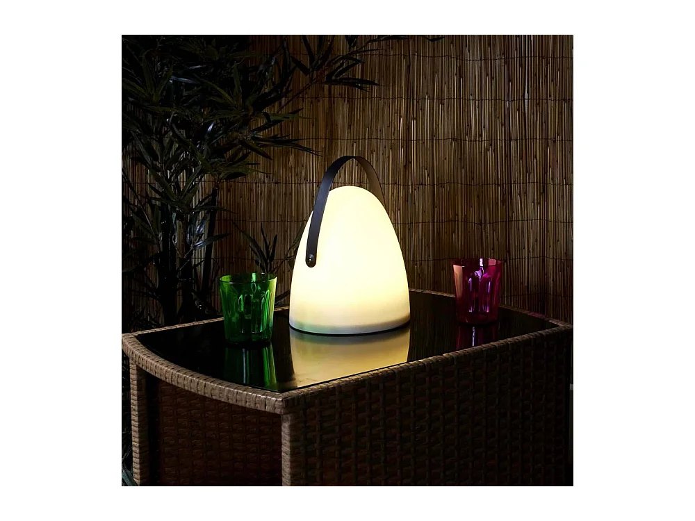 Lampe Exterieur Avec Poignee Blanc