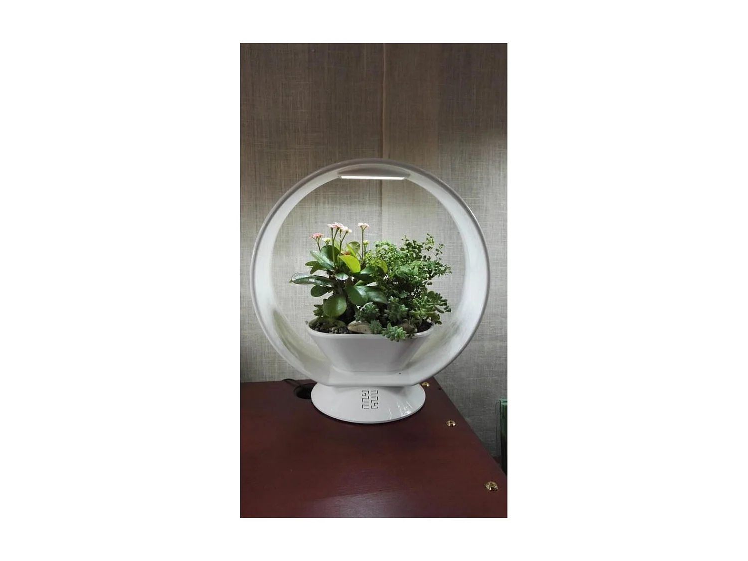 Lampe LED ludique avec jardinière intégrée et enceinte bluetooth 25 LED