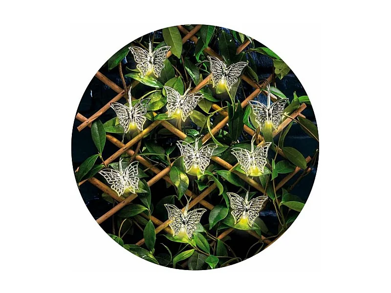 Ghirlanda a led all'interno e all'esterno di Judy Papillon