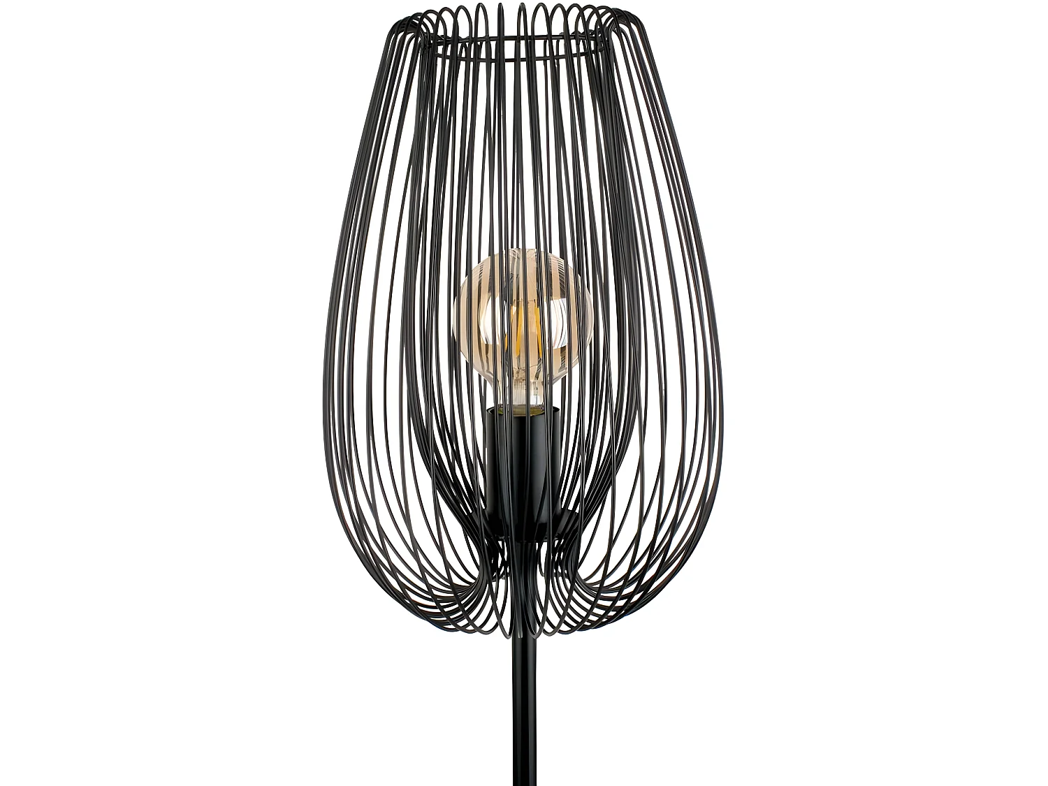 Vloerlamp Lucid - Zwart