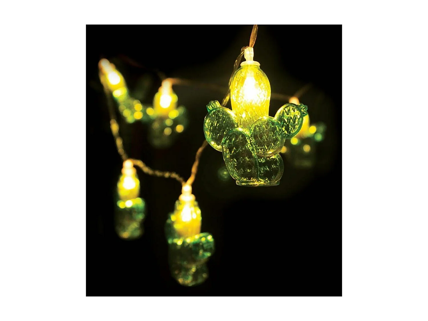Guirlande lumineuse cactus 10 LED 165 cm (Lot de 2)